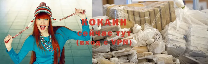 COCAIN Fish Scale Козловка